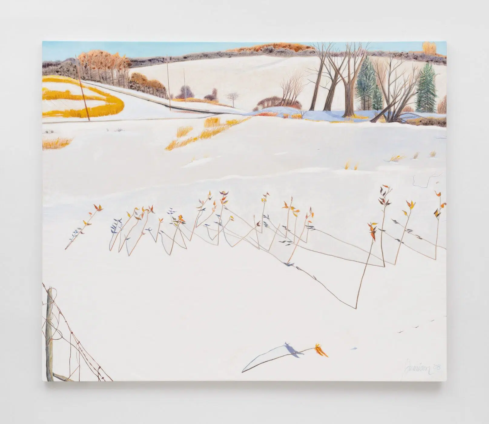 G. Peter Jemison, &ldquo;Wenitsyoh II,&rdquo; 2008. Acrylic on canvas. (Photo: Joerg Lohse, courtesy the artist and 47 Canal, New York)