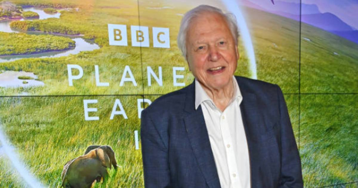 David Attenborough Will Return To Narrate the BBC Series ‘Blue Planet III’