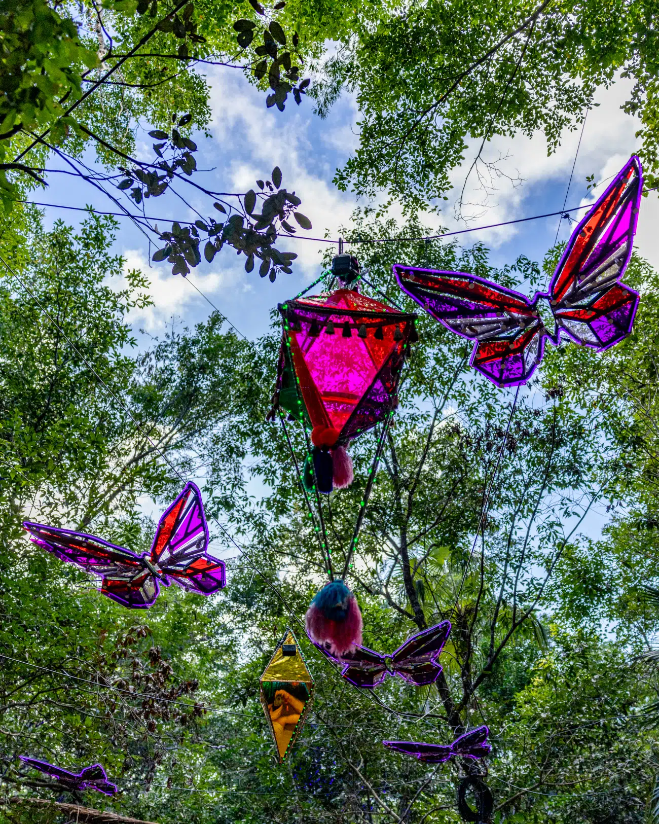 Day Zero Festival