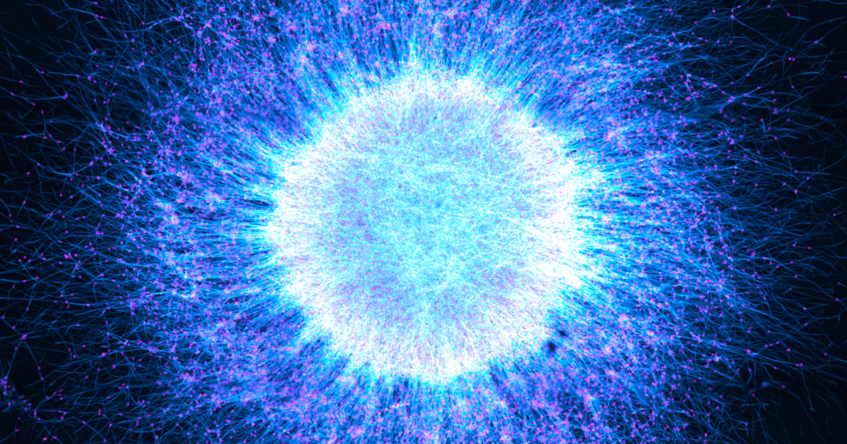 Amazing Winners of This Scientific Microscopic Imaging Contest Capture the Unseen Beauty of Life