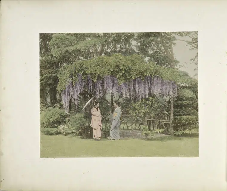 Hand-colored photograph of women in a garden in 19th-century Japan
