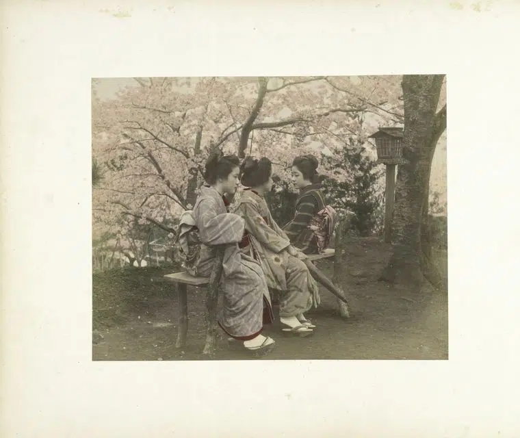 Hand-colored photograph of women under a cherry tree in 19th-century Japan