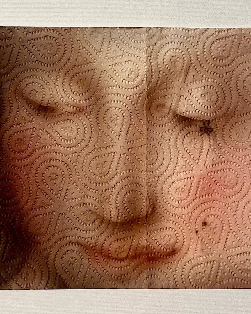 Paper Towel Art by Helena Minginowicz