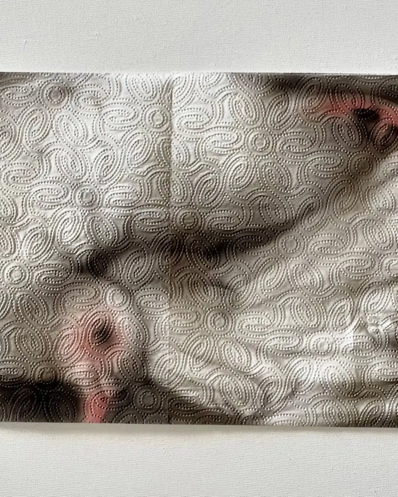 Paper Towel Art by Helena Minginowicz