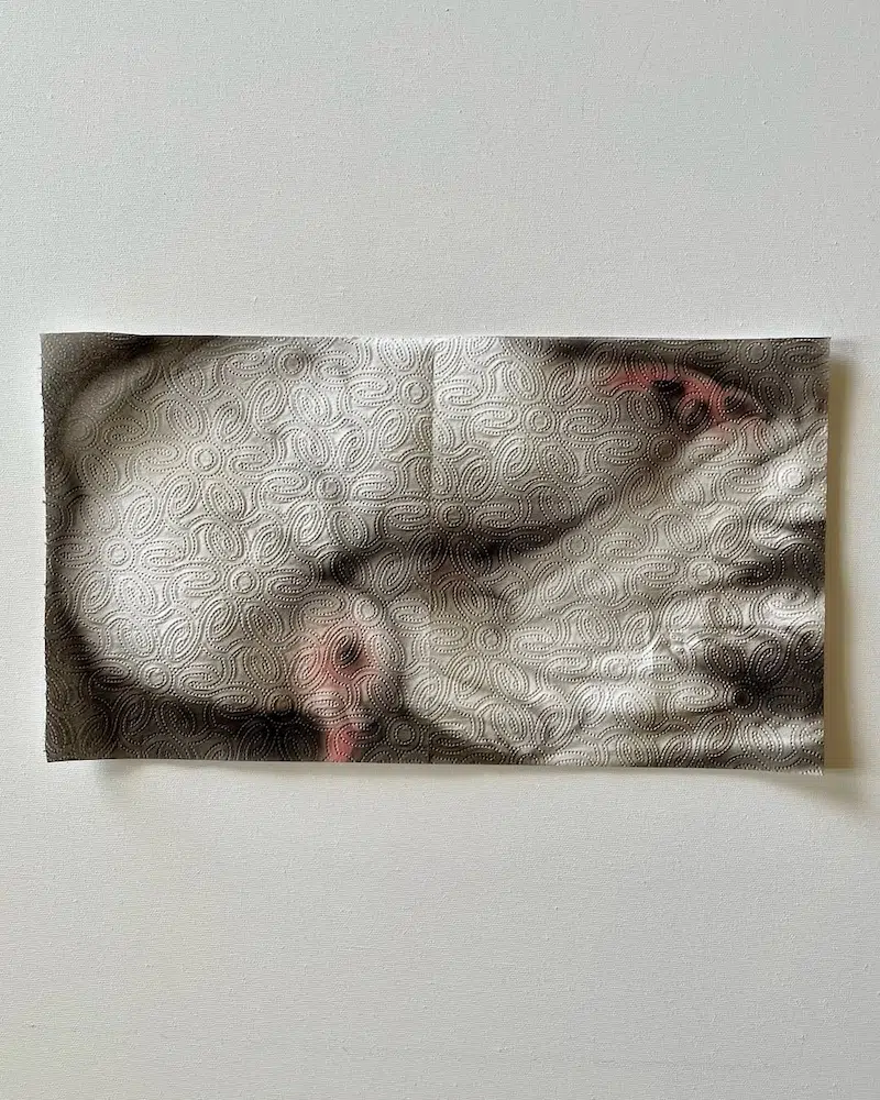 Paper Towel Art by Helena Minginowicz