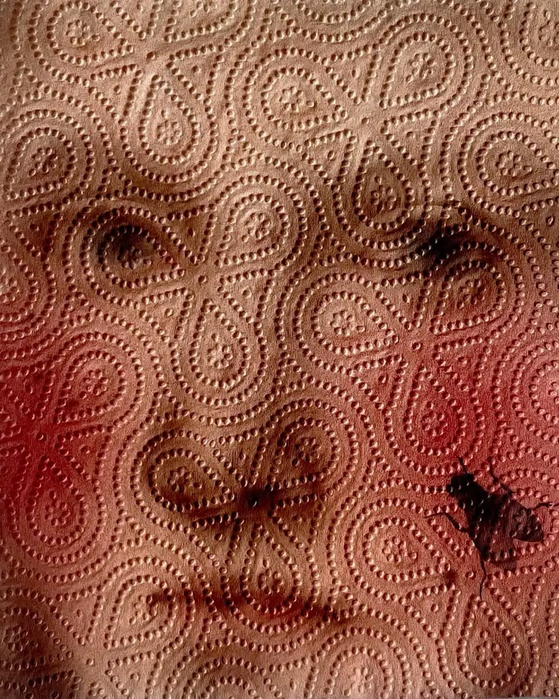 Paper Towel Art by Helena Minginowicz