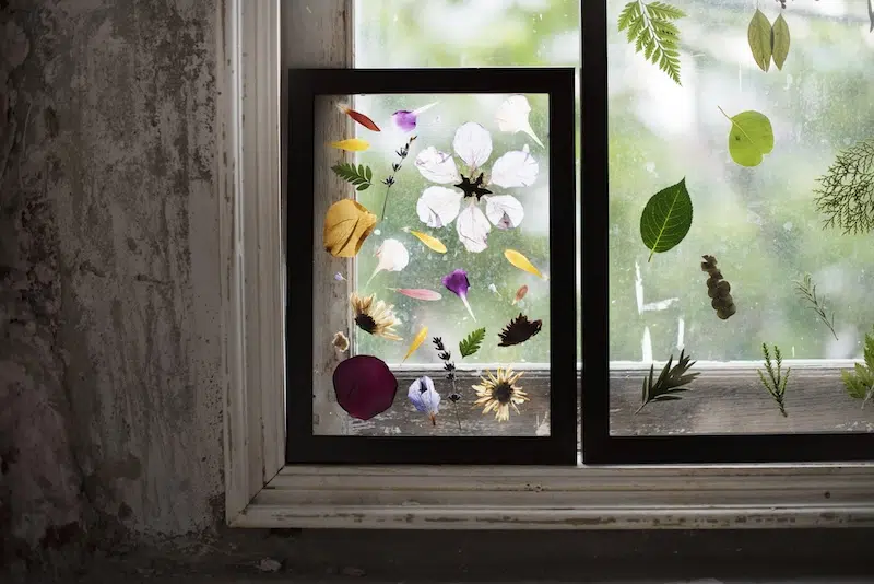 Pressed Flower Art