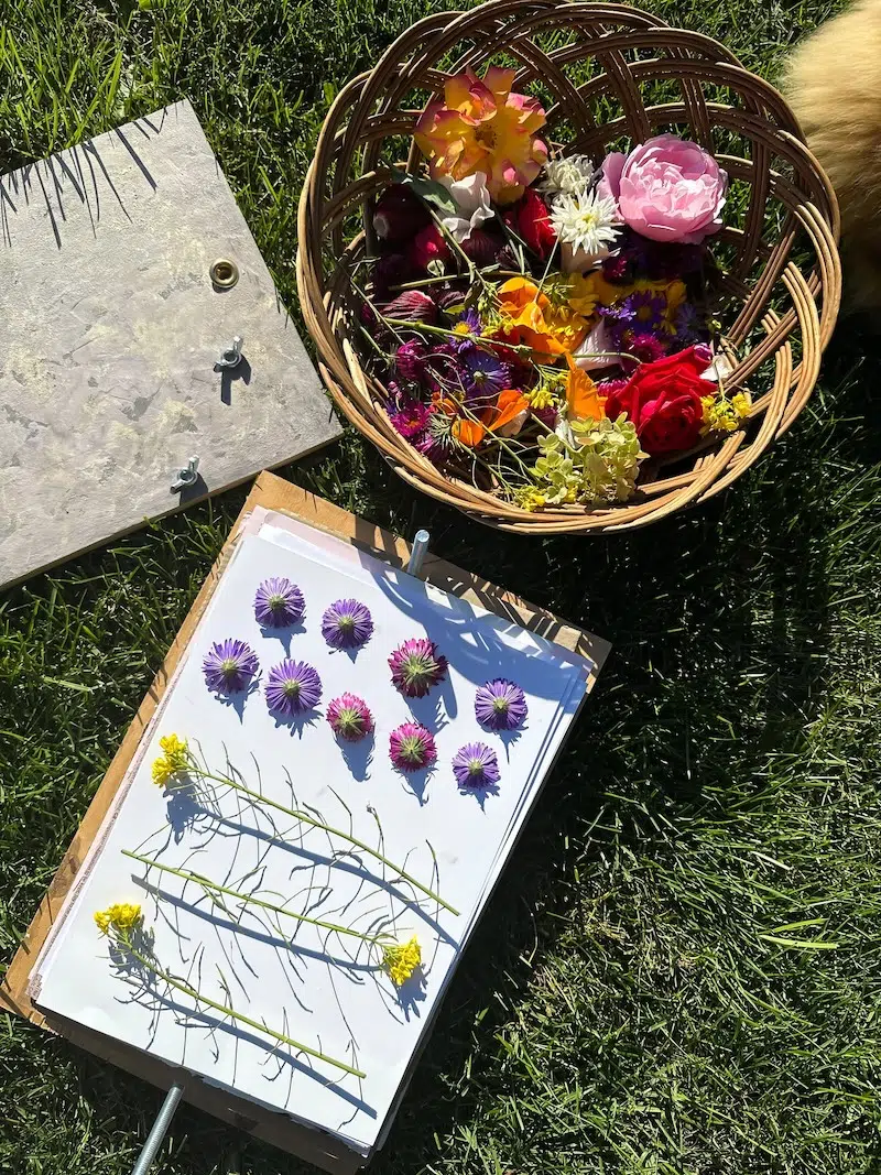 Pressed Flower Art Supplies