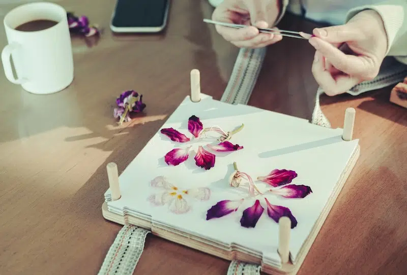 Pressed Flower Supplies