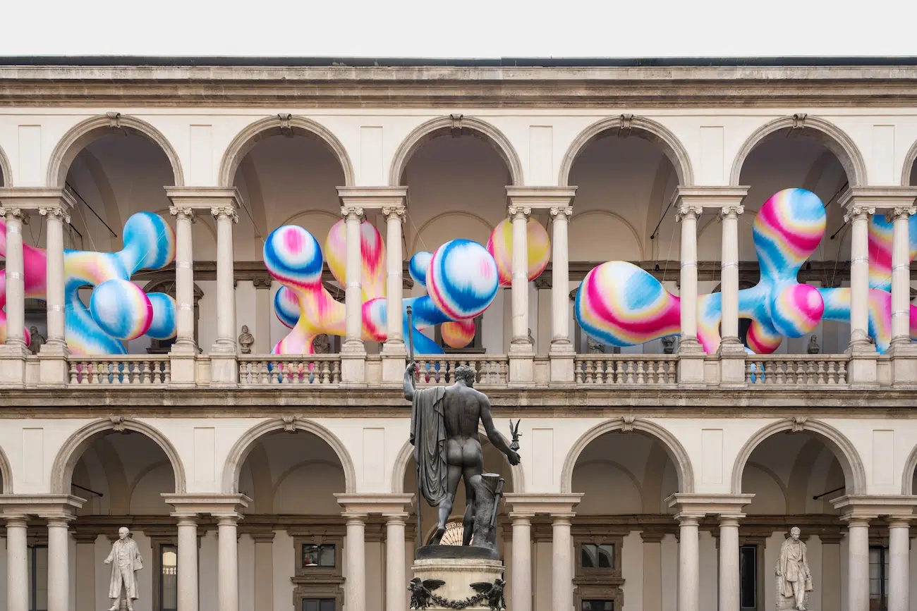 Installation Art by Sara Ricciardi