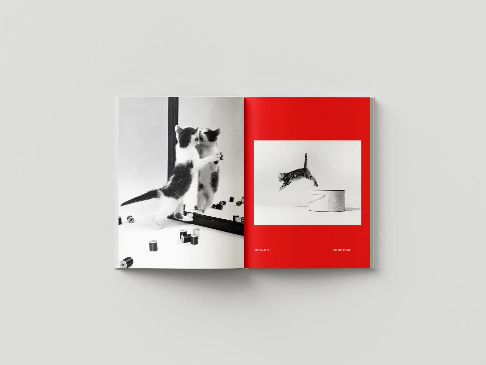 A spread from &ldquo;Walter Chandoha: Family Cats From the Archive 1949&ndash;1962,&rdquo; published by Damiani Books