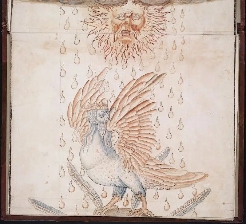 Inside the Yale University's &ldquo;Magic&rdquo; Books