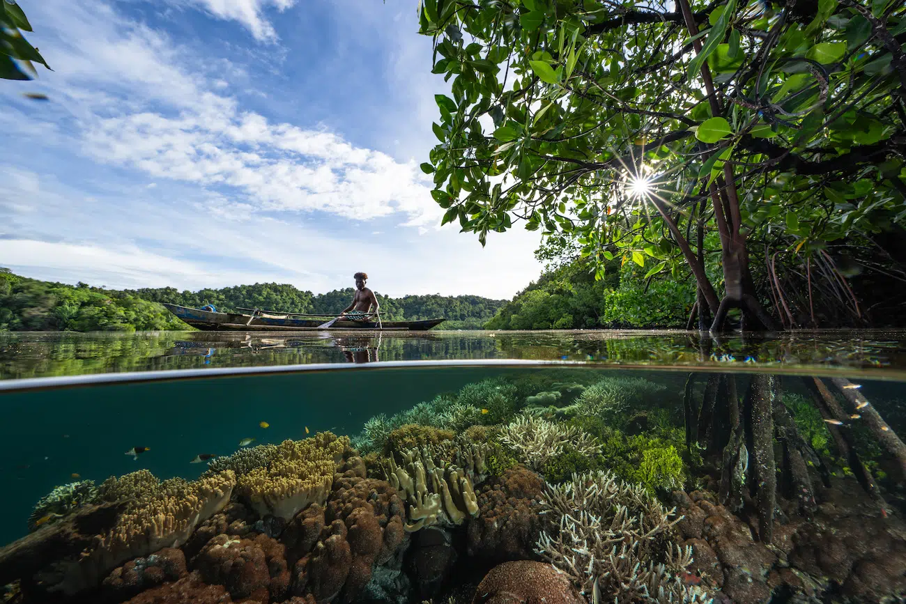 &copy; Wendy Mitchell (Australia). Connecting Oceans &mdash; Honorable Mention There has never been a more critical time to take action to protect the places we love. Globally, coral reefs are being lost at an alarming rate, largely driven by the relentless impacts of burning fossil fuels. The release of carbon dioxide trapped in coal, oil, and gas is the leading contributor to climate change, driving ocean temperatures to extreme levels. Yet, hope remains through awareness and responsible leadership. A brighter future is possible if we champion local initiatives and cast our votes for those committed to protecting these critical ecosystems. This photo is a window into two worlds, a reminder of the interconnectedness of every element of our planet. The image was captured in the blue-water mangroves of Raja Ampat, West Papua, Indonesia, where communities rely heavily on the health of their reefs for sustenance and economic benefits from tourism.