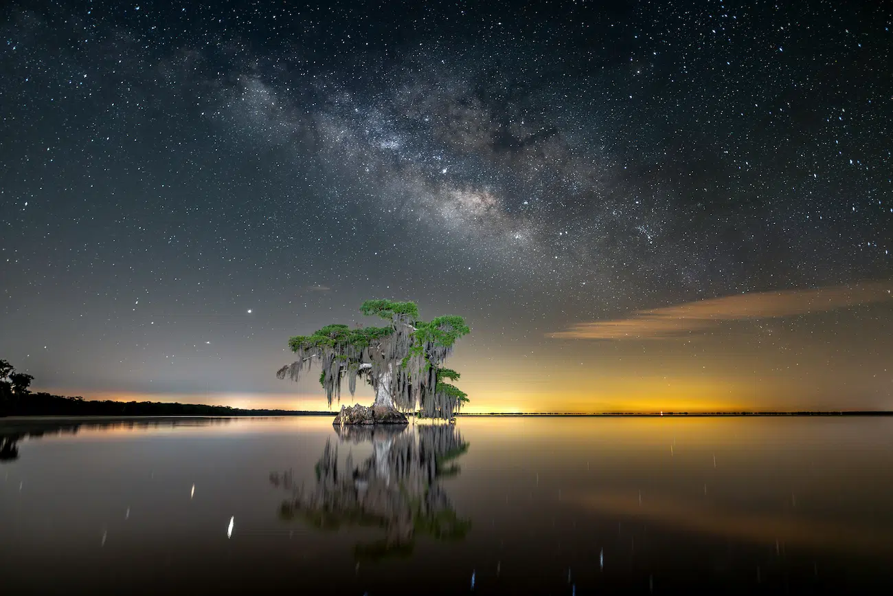 &copy; James Ferrara (USA). Above Water Seascapes &mdash; 2nd Place This single long-exposure image was taken at Blue Cypress Lake in my home state of Florida. After careful planning and a short boat ride in the middle of the night, I used a tripod in the water and light painting techniques to illuminate the cypress tree beneath the Milky Way above. Rapid population growth has transformed much of Florida&rsquo;s once-pristine landscape into a patchwork of development and concrete, yet pockets of untouched wilderness still remain beyond the reach of urban sprawl and light pollution. This image is a tribute to the Florida that once was and still exists in fragments today. It serves as both a celebration and a reminder that these natural spaces are fragile, and their future depends on the care and responsibility we choose to take.