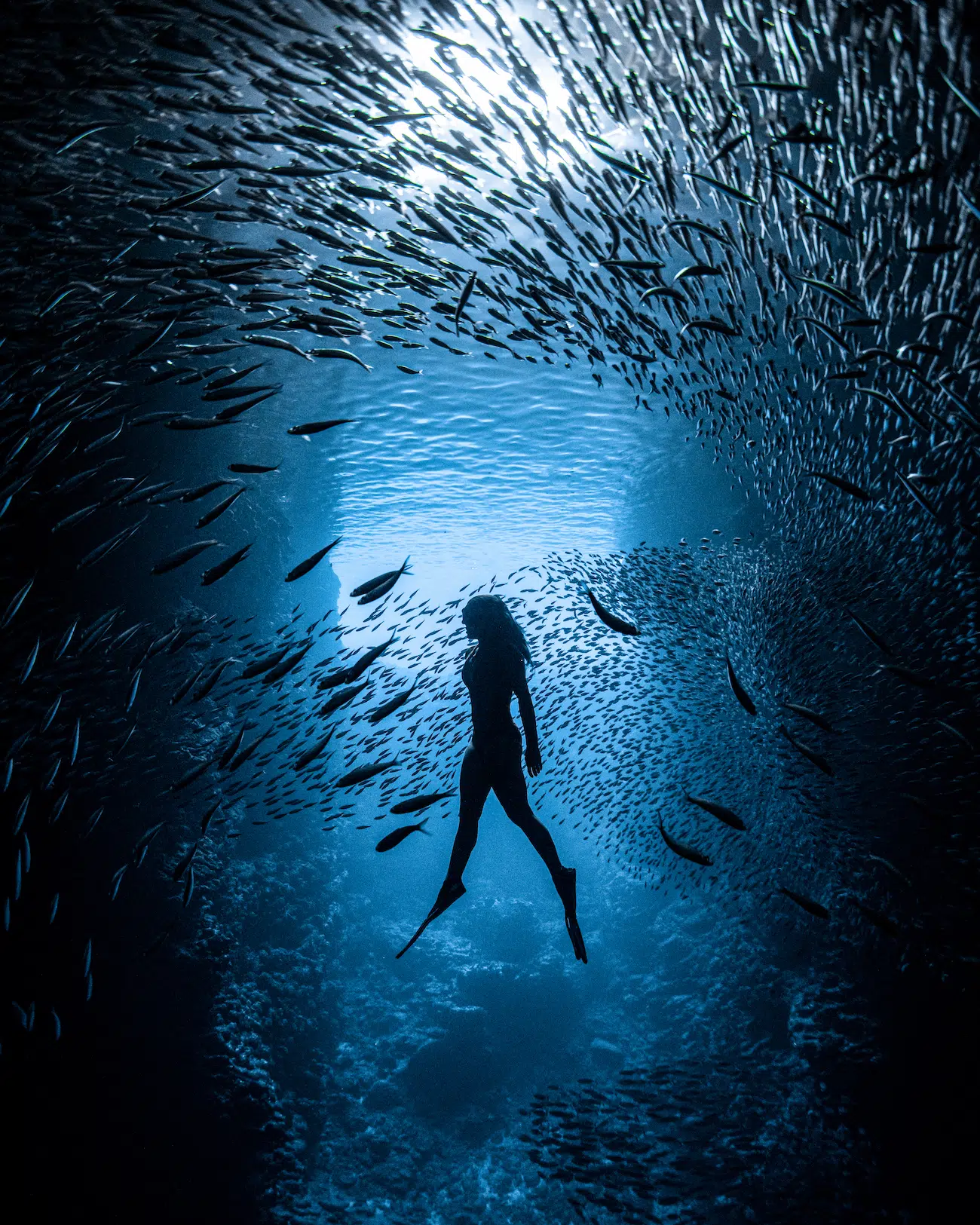 &copy; James Ferrara (USA). Connecting Oceans &mdash; 2nd Place While diving inside a cave in the Kingdom of Tonga, I watched as a freediver was surrounded by a swirling school of baitfish. Sunlight pouring in from the cave&rsquo;s entrance created a striking silhouette, perfectly framing the diver and fish in a fleeting moment of harmony between shadow and motion.