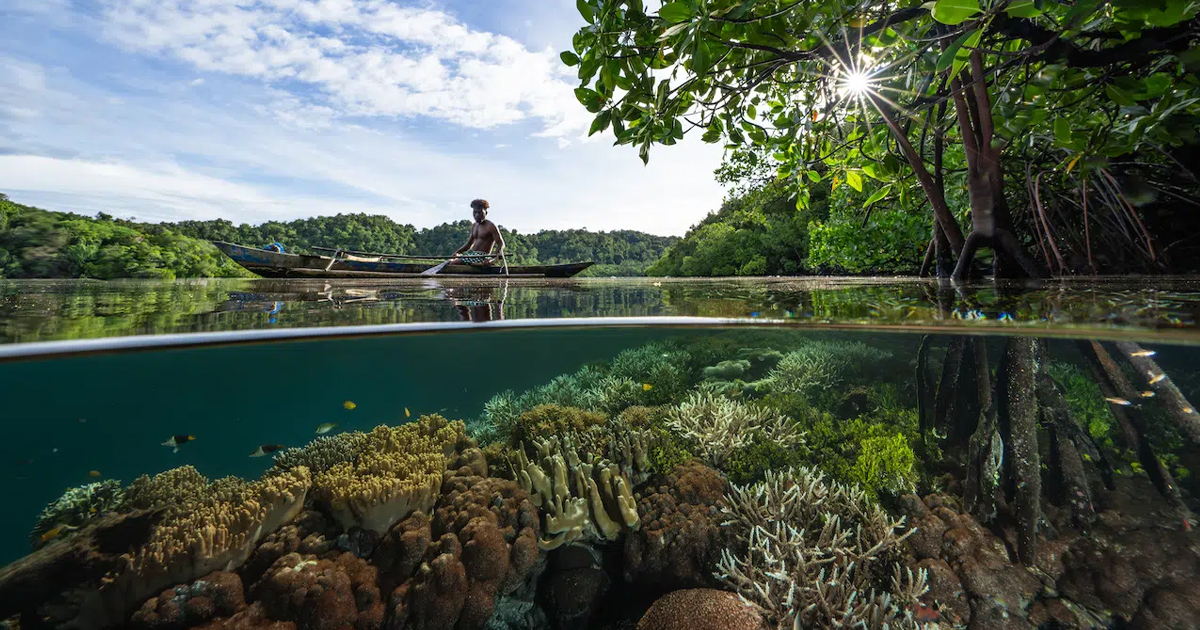 13 Awe-Inspiring Winners From the 2026 UN World Oceans Day Photo Competition