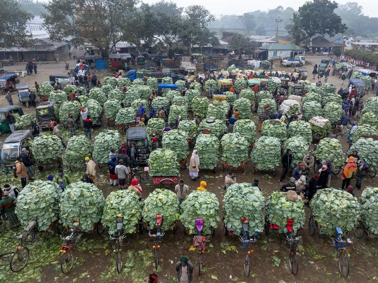 A large vegetable market