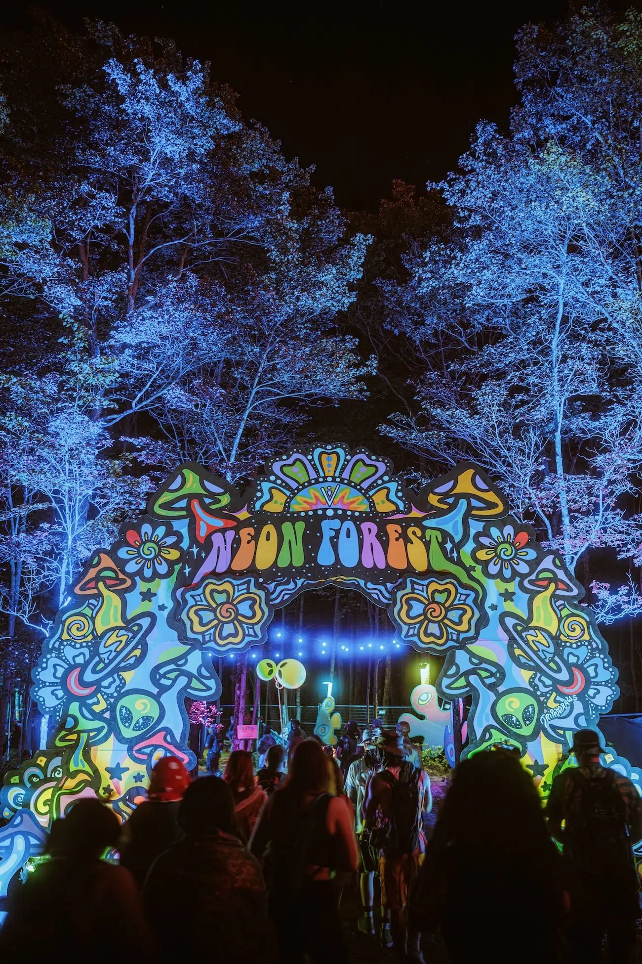 Elements Music & Arts Festival 2025