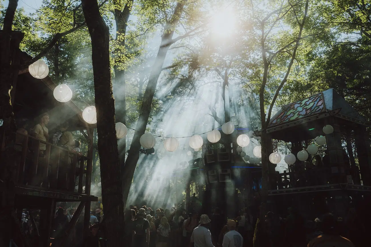 Elements Music & Arts Festival 2025