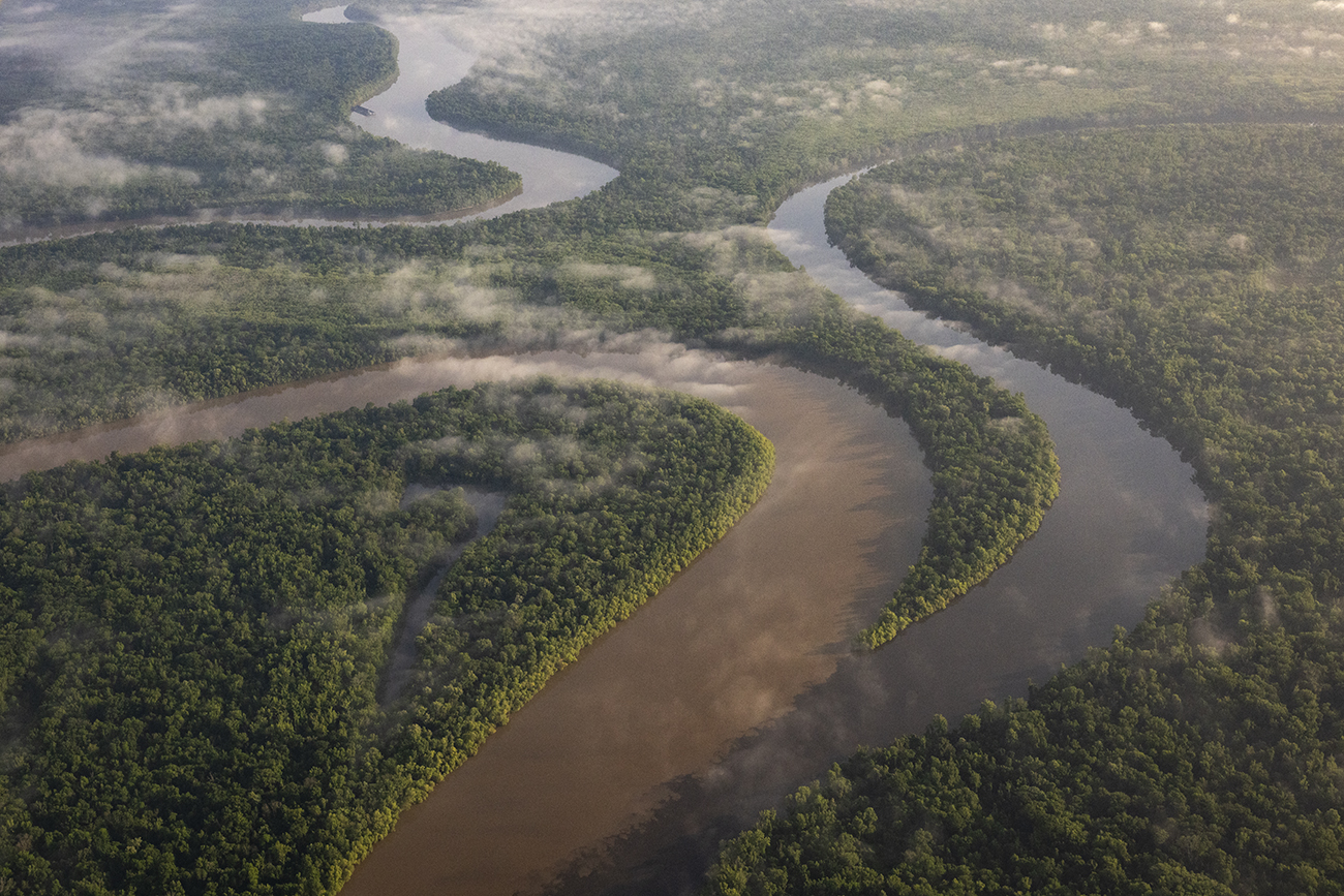 Landscape photo of river and trees