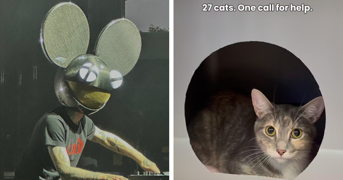 Deadmau5 Helps Rescue 27 Cats in Canada by Donating $30,000 for Their Care Costs