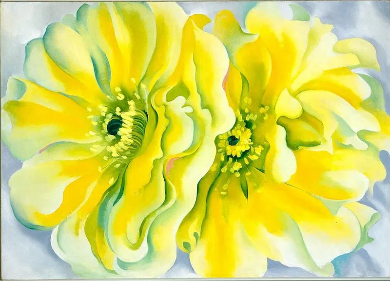 Yellow Cactus, Georgia O&rsquo;Keeffe, 1929