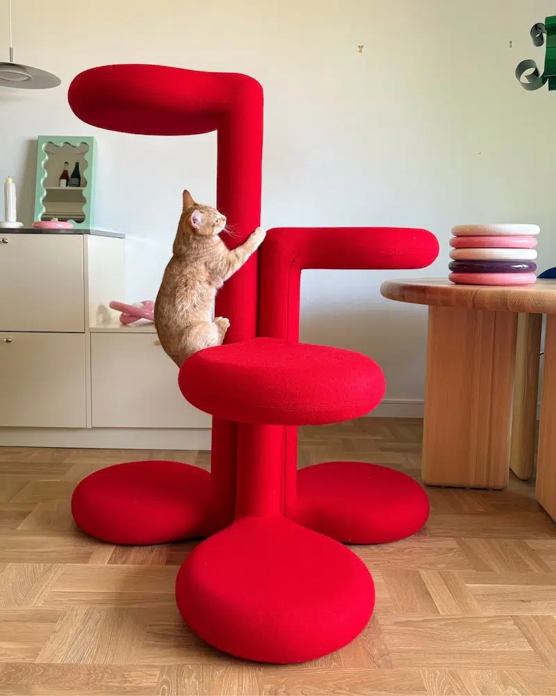 Cat Climbing a Red Cat Tree