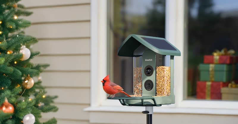 Kiwibit Bird Feeder 2