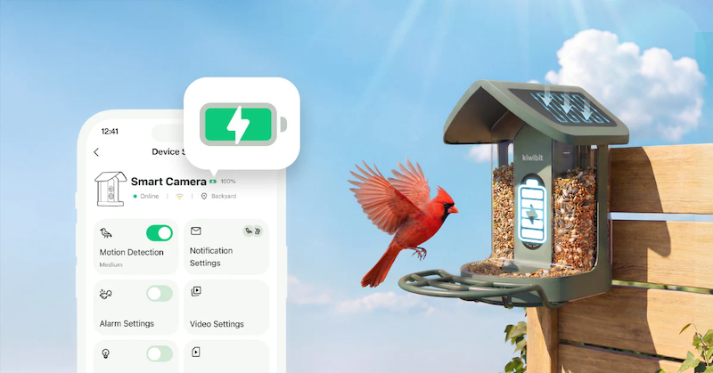Kiwibit Bird Feeder 2