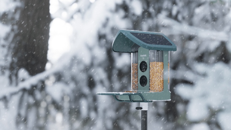 Kiwibit Bird Feeder 2