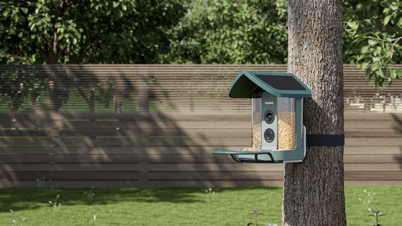 Kiwibit Bird Feeder 2