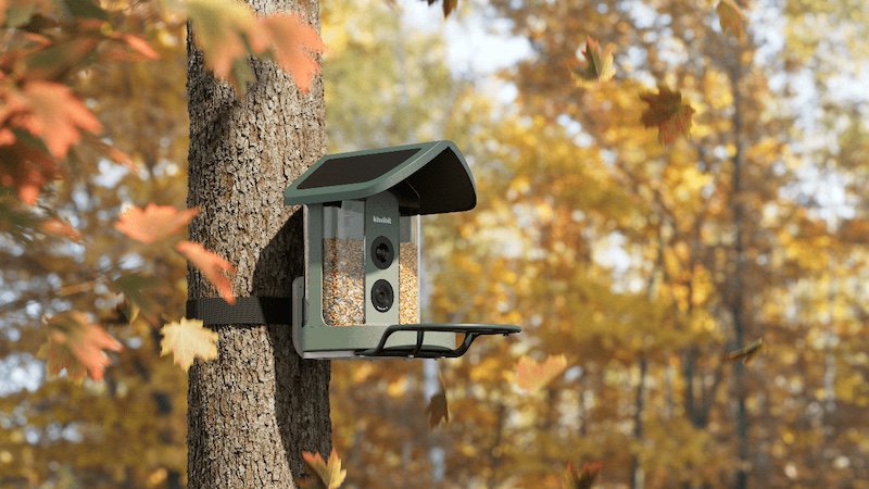 Kiwibit Bird Feeder 2