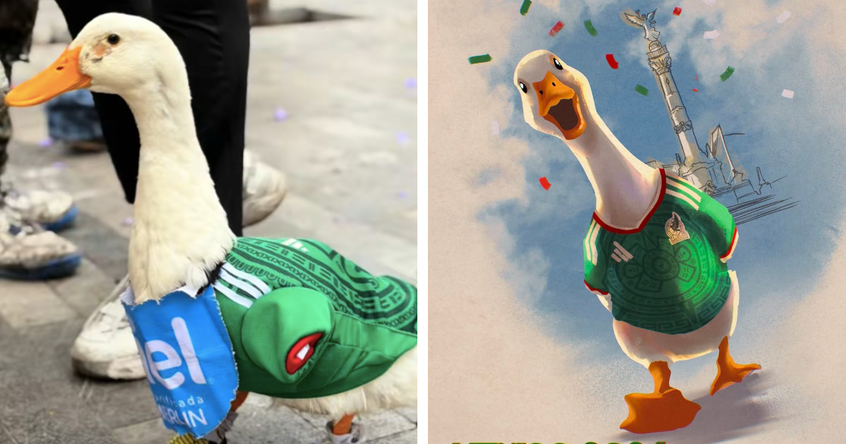 Adorable Duck Sporting a Mexico National Team Jersey Becomes a World Cup Sensation