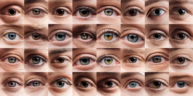 Grid of all different eye colors in humans