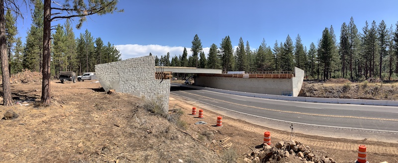 Deer Wildlife Crossing Siskiyou