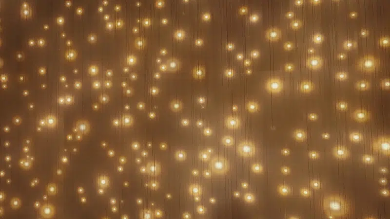  teamLab, Massless Suns and Dark Suns, 2022-, Interactive Installation, Endless, Sound: Hideaki Takahashi &copy; teamLab 