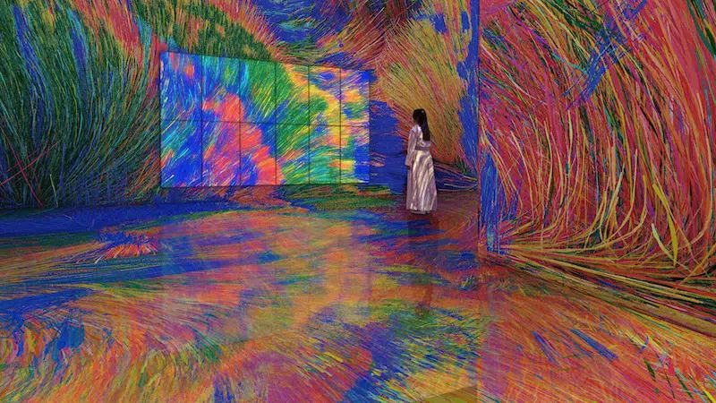 teamLab, Order in Chaos, 2026, Interactive Installation, Sound: Hideaki Takahashi &copy; teamLab 