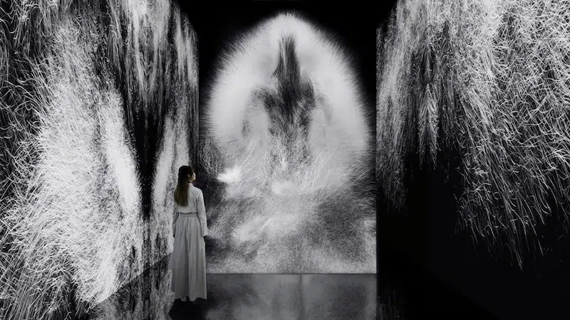 teamLab, Dissipative Figures - Human, 2026, from the series Dissipative Figures &ndash; Human, Light in Dark, 2023-, Interactive Installation, Sound: Hideaki Takahashi &copy; teamLab 