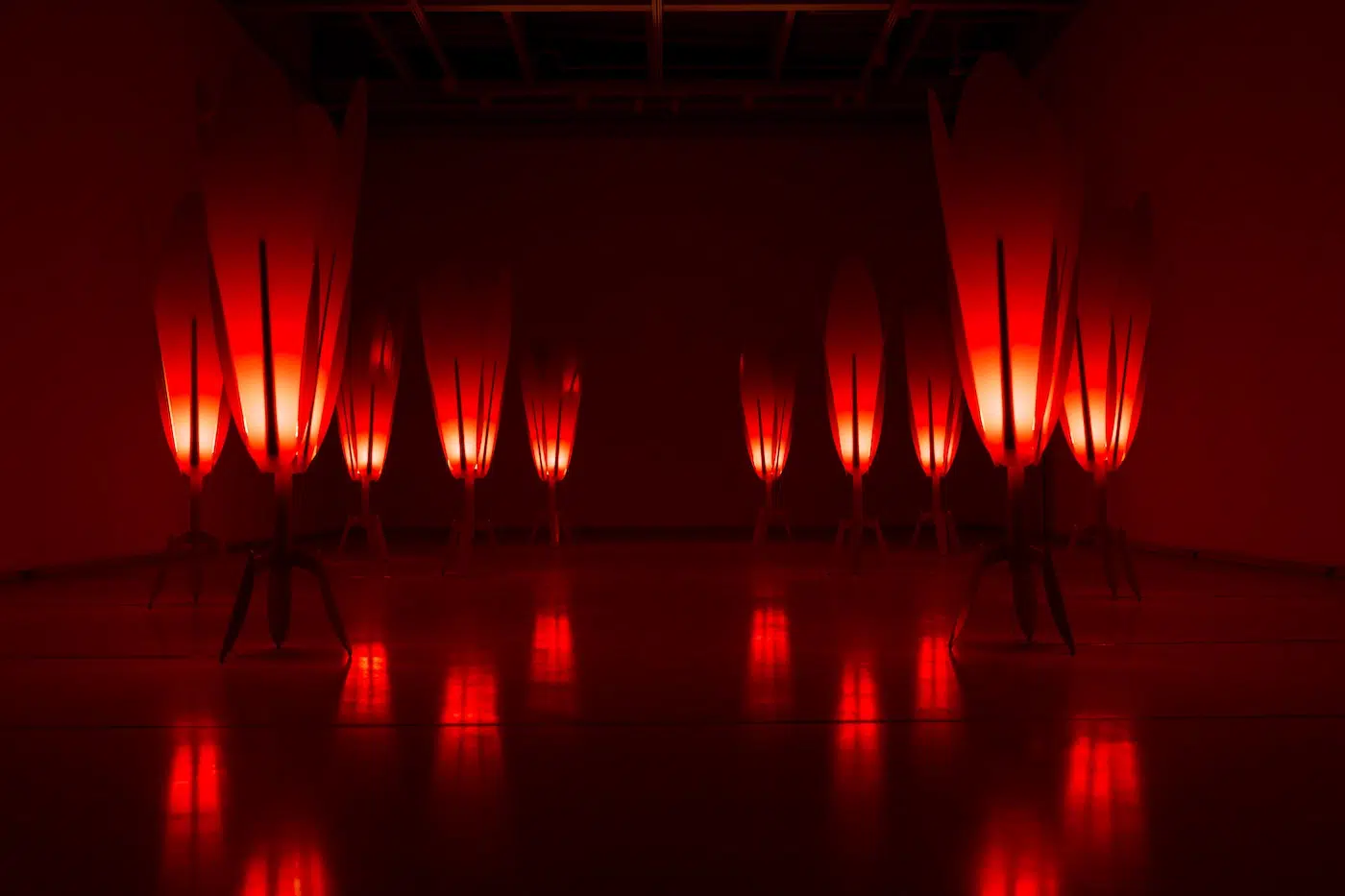 The Crimson Procession by Reza Raeisifar