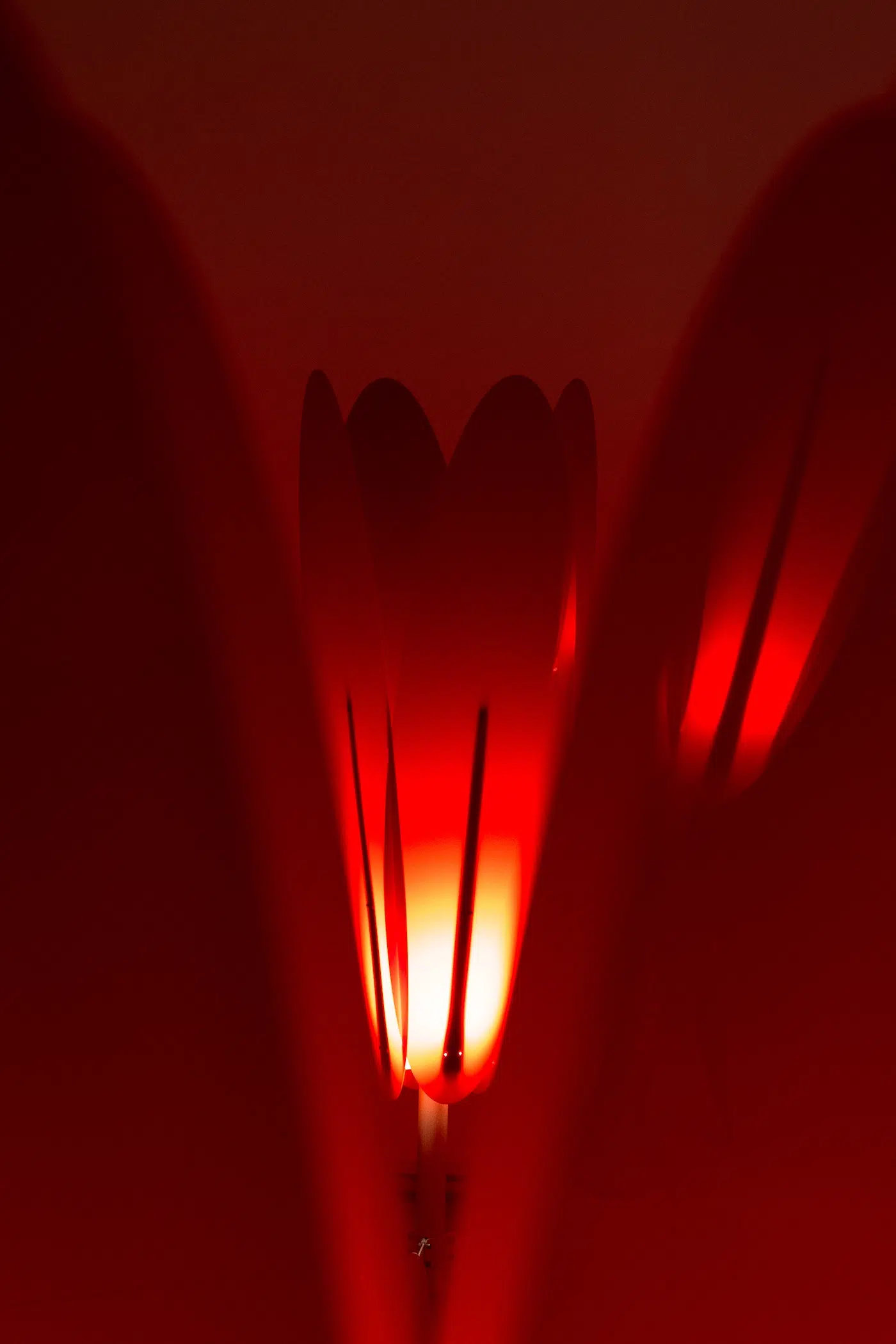 The Crimson Procession by Reza Raeisifar