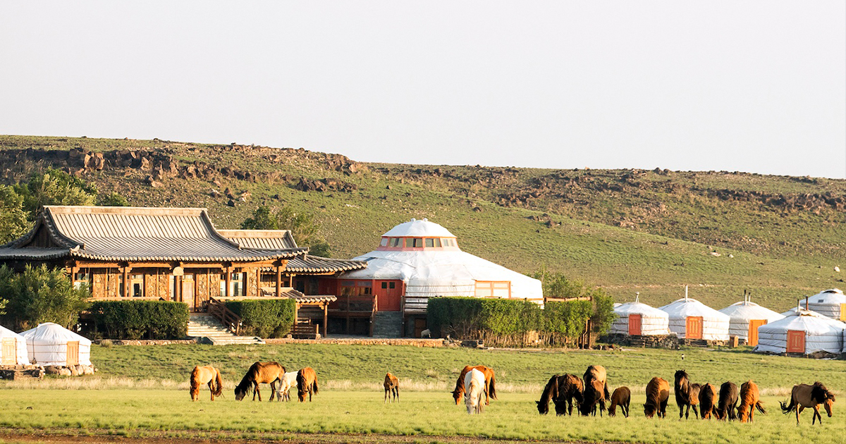 Mongolian Eco-Lodge Invites 5 Local Creatives to Make Art in the Gobi Desert