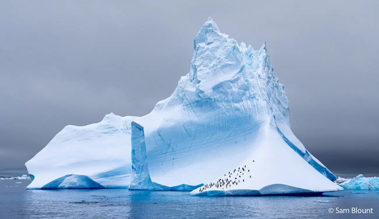 Icebergs with Penguins on It