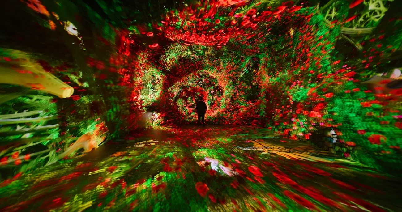 AI Generated Installation Art at Machine Dreams: Rainforest at DATALAND in LA