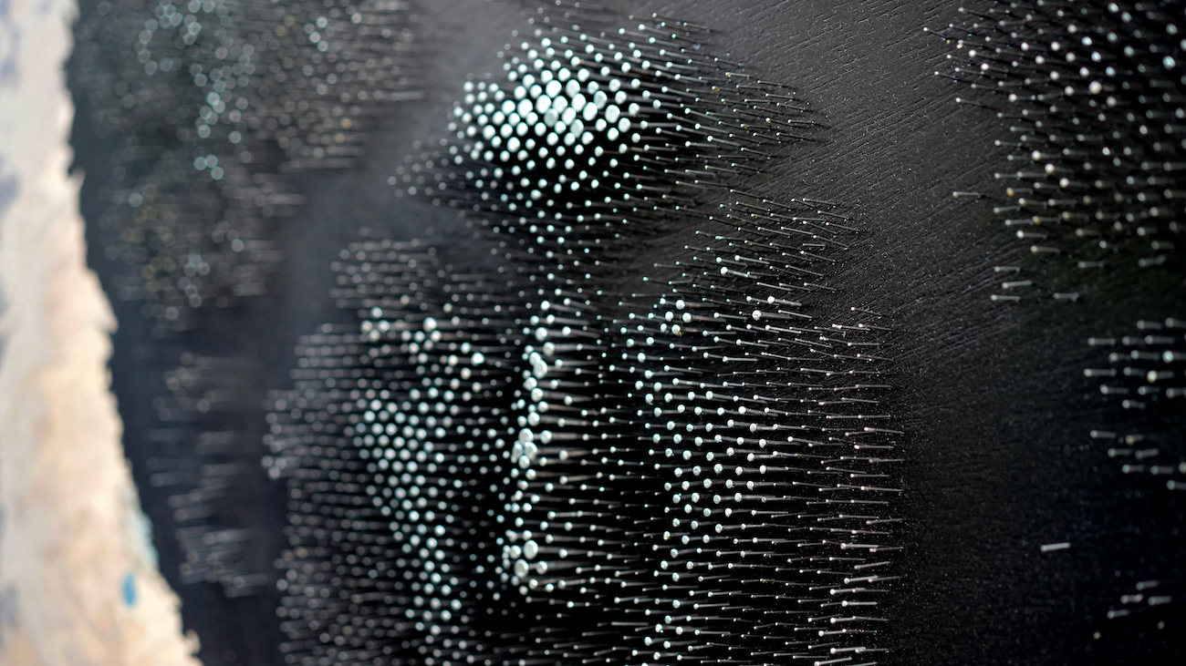Alexis Peskine's Nail Portrait from his Ouro Verde Series