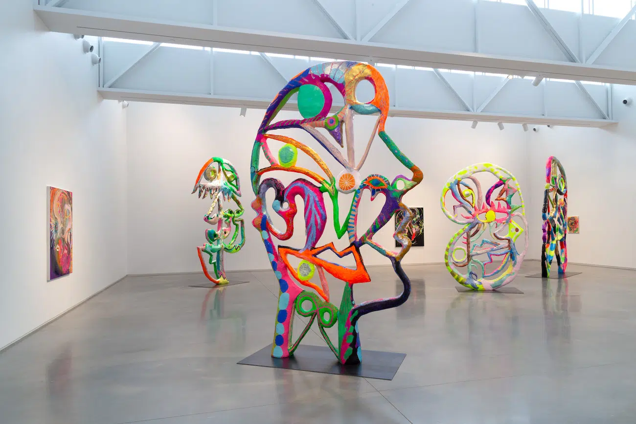 Installation View of Bianca Beck's Eyes at Center for Maine Contemporary Art