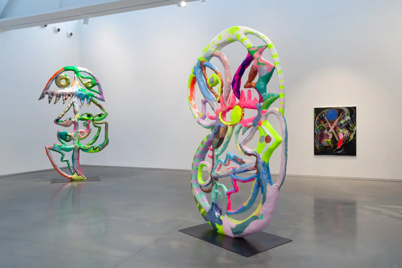 Installation View of Bianca Beck's Eyes at Center for Maine Contemporary Art