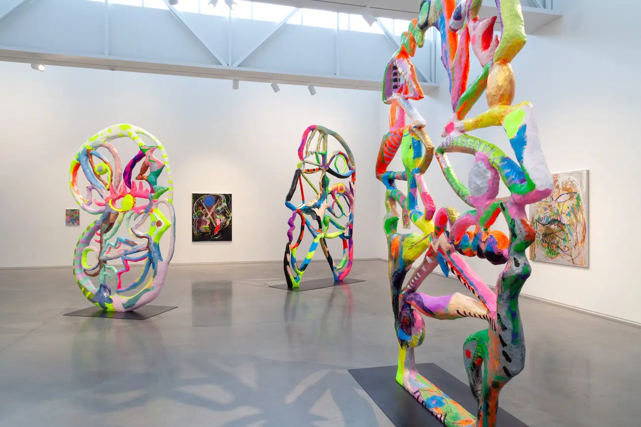 Installation View of Bianca Beck's Eyes at Center for Maine Contemporary Art