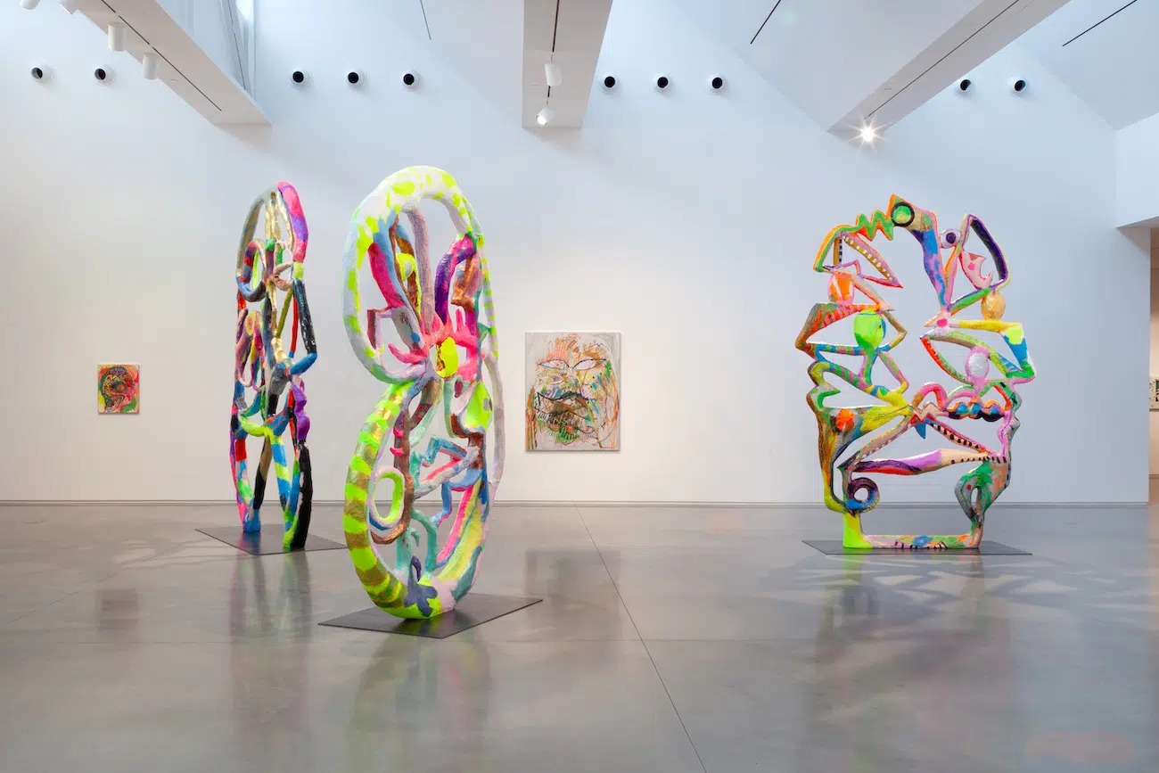 Installation View of Bianca Beck's Eyes at Center for Maine Contemporary Art