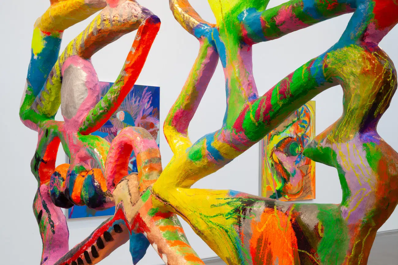 Installation View of Bianca Beck's Eyes at Center for Maine Contemporary Art