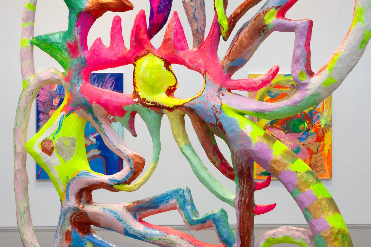 Installation View of Bianca Beck's Eyes at Center for Maine Contemporary Art